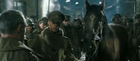 War Horse